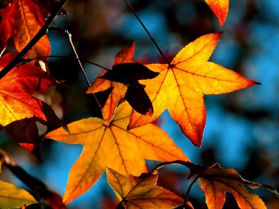 Autumn Barcelona