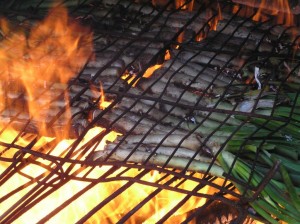 Calçots on the Barbeque