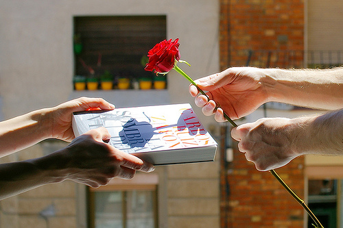 Book and Rose - La Diada de Sant Jordi Barcelona