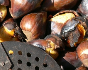 Castanyes, Barcelona Gastronomy