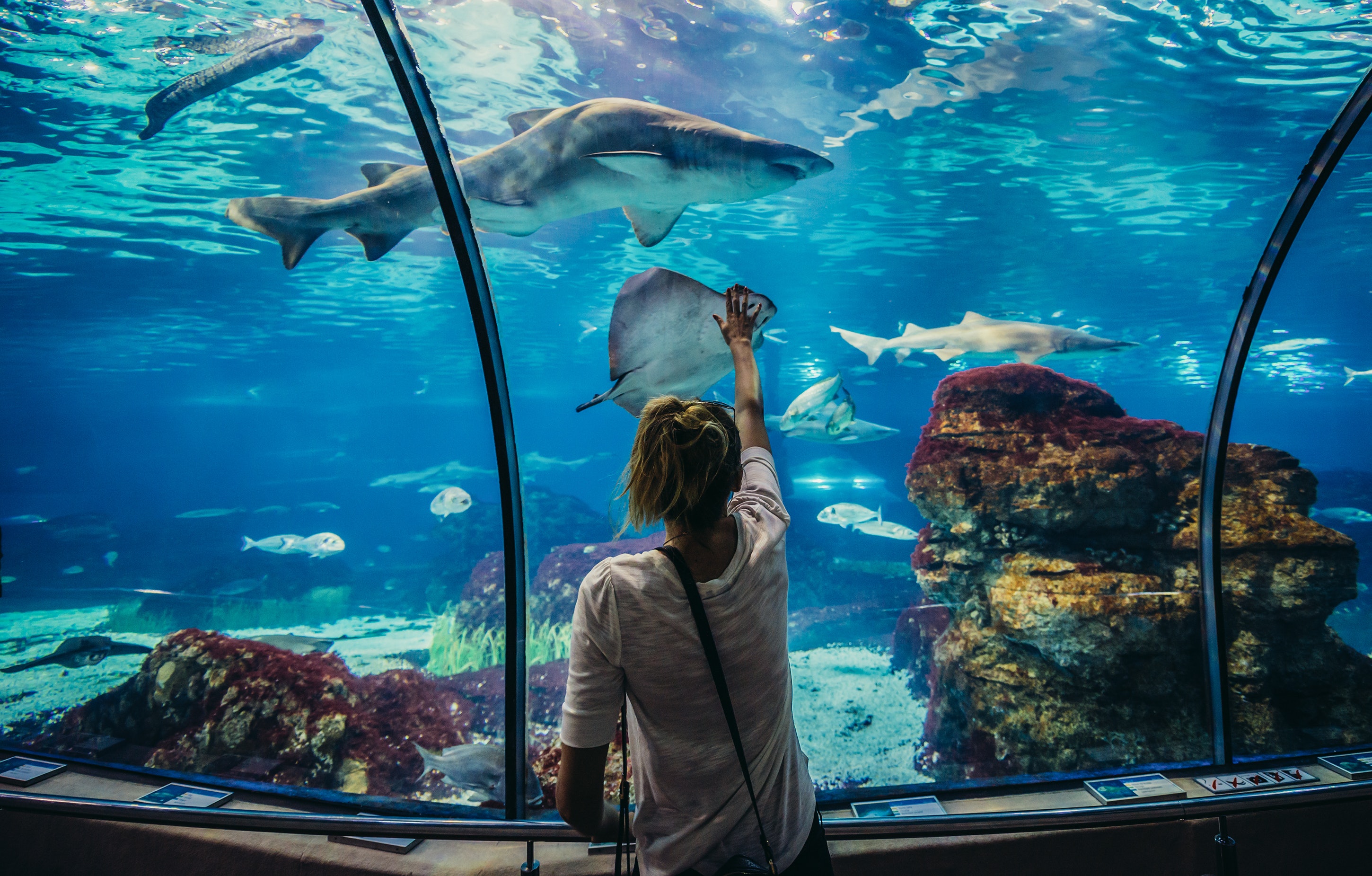 Aquarium