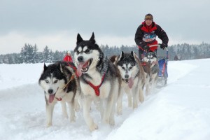 Mushing, Grandvalira Resort