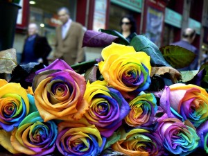 La Diada de Sant Jordi, Barcelona