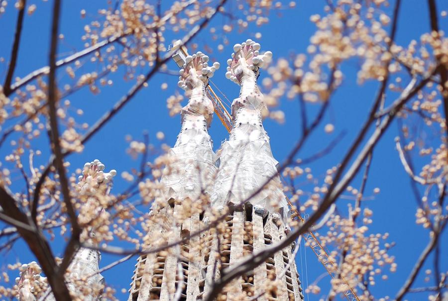 Frühling in Barcelona 2