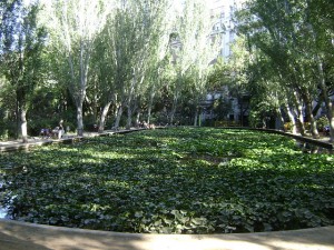 turó Parc Sarria